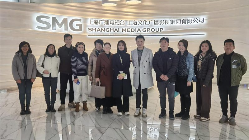 MG动画与传统动画：效率比拼背后的秘密