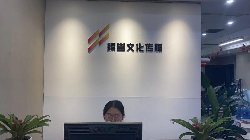企业VI设计流程：从理念到视觉的蜕变之旅